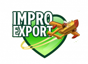 Logo_ImproExport